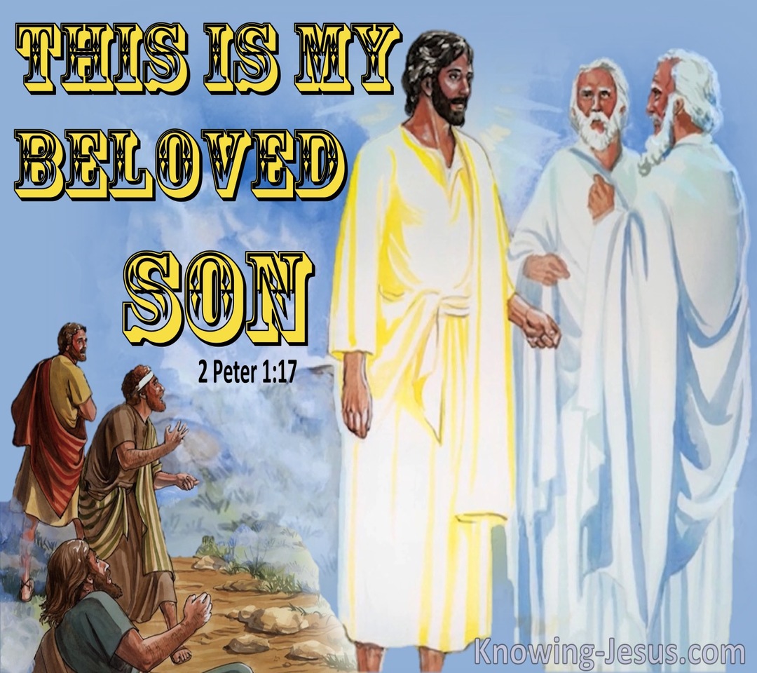 2 Peter 1:17 This Is My Beloved Son In Whom I Am Well Pleased (yellow)